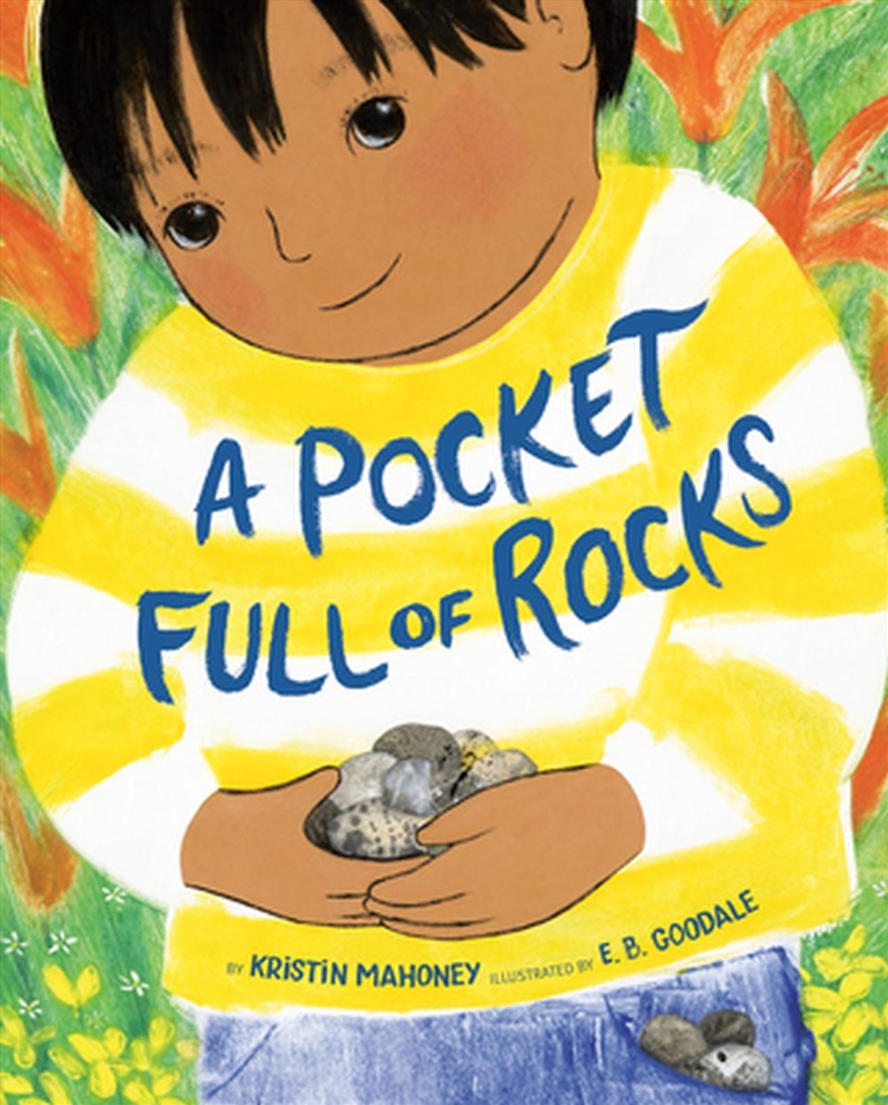 Pocket Full Of Rocks/Product Detail/Early Childhood Fiction Books