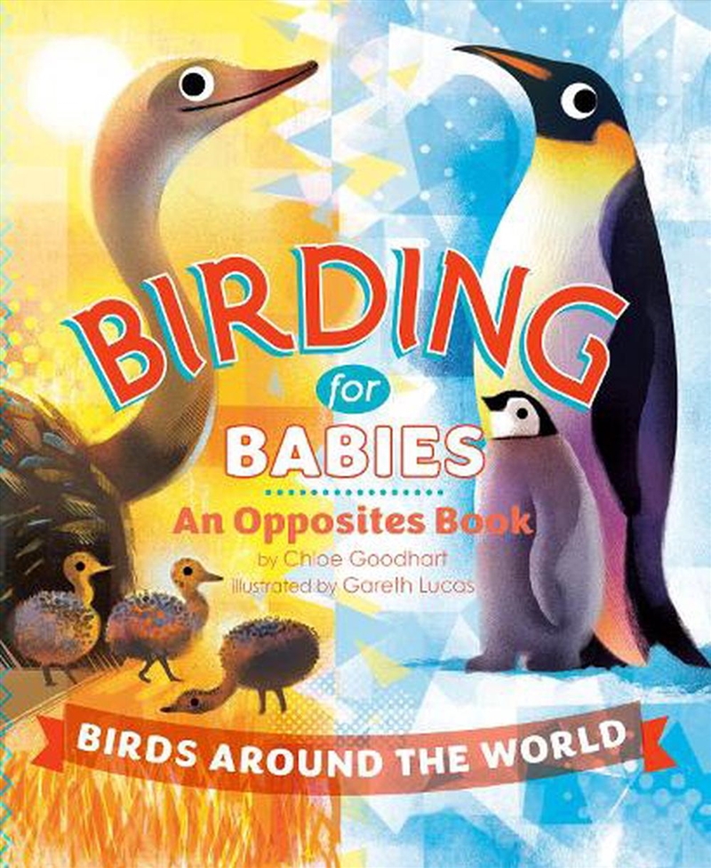 Birding For Babies: Birds Around The World/Product Detail/Early Childhood Fiction Books