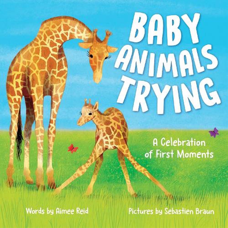 Baby Animals Trying/Product Detail/Early Childhood Fiction Books