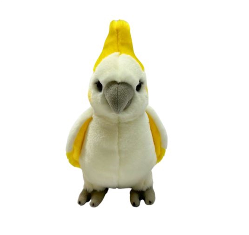 Cockatoo 15cm/Product Detail/Plush Toys