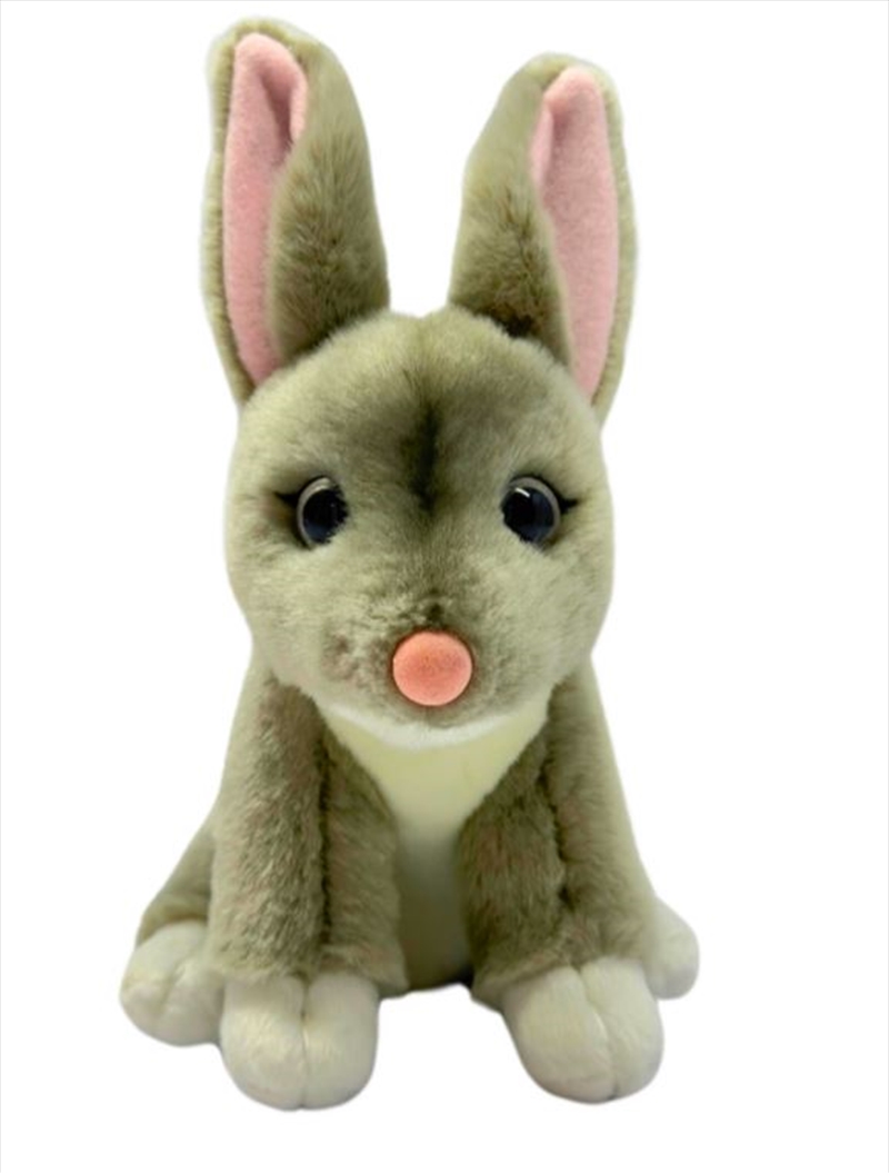 Bilby 15cm/Product Detail/Plush Toys