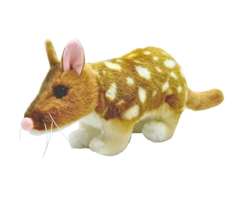 Queenie The Quoll 30cm/Product Detail/Plush Toys