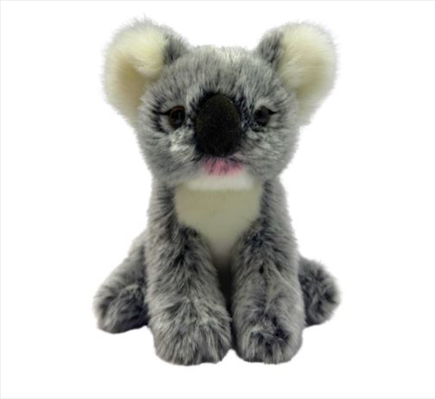 Koala 15cm/Product Detail/Plush Toys