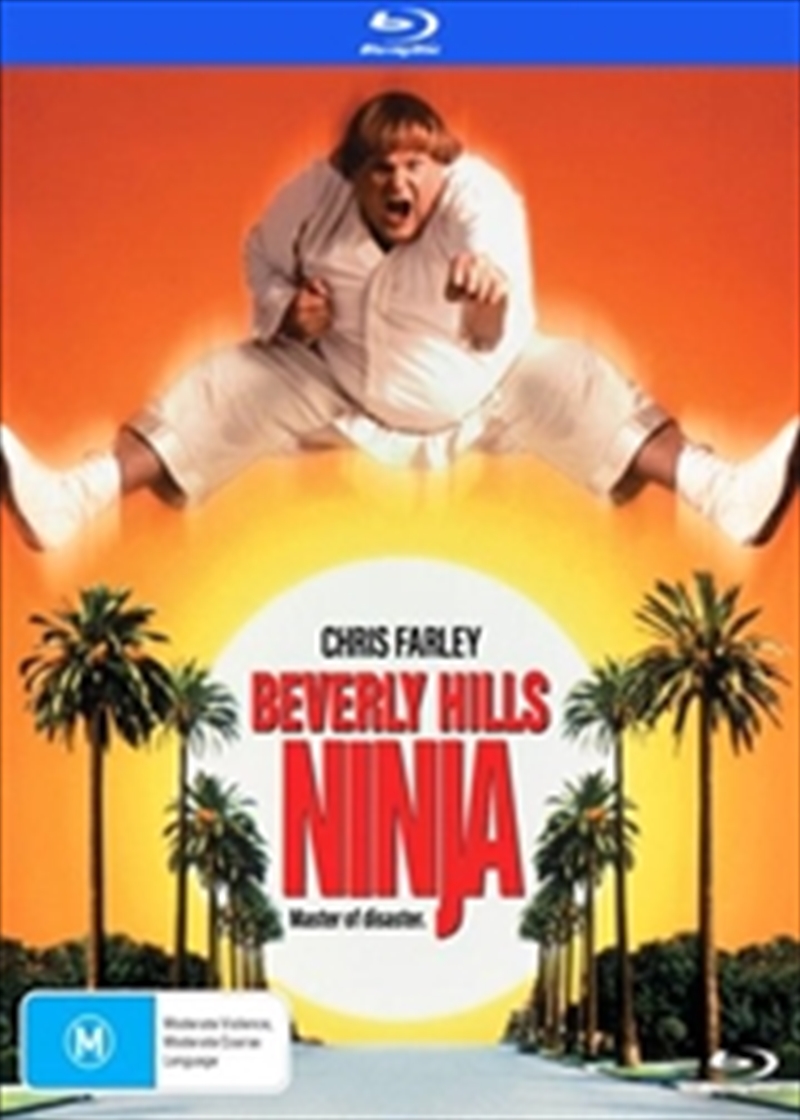 Beverly Hills Ninja/Product Detail/Action