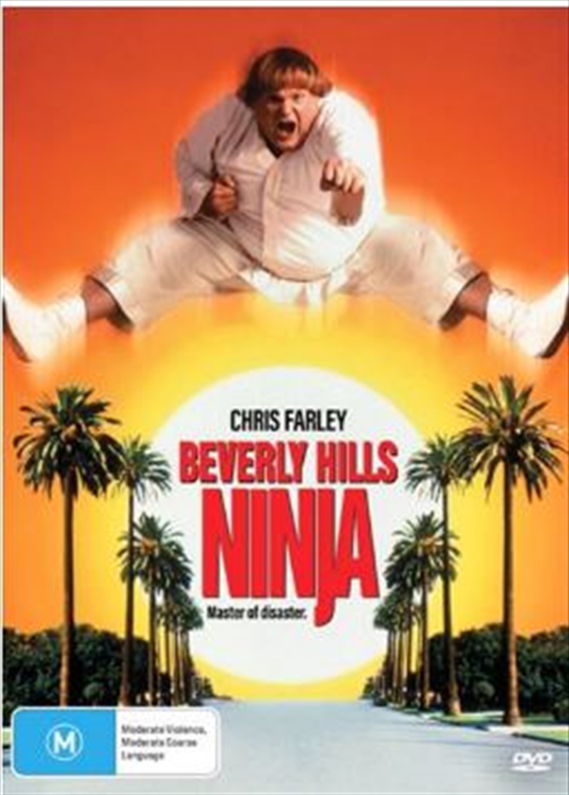 Beverly Hills Ninja/Product Detail/Action