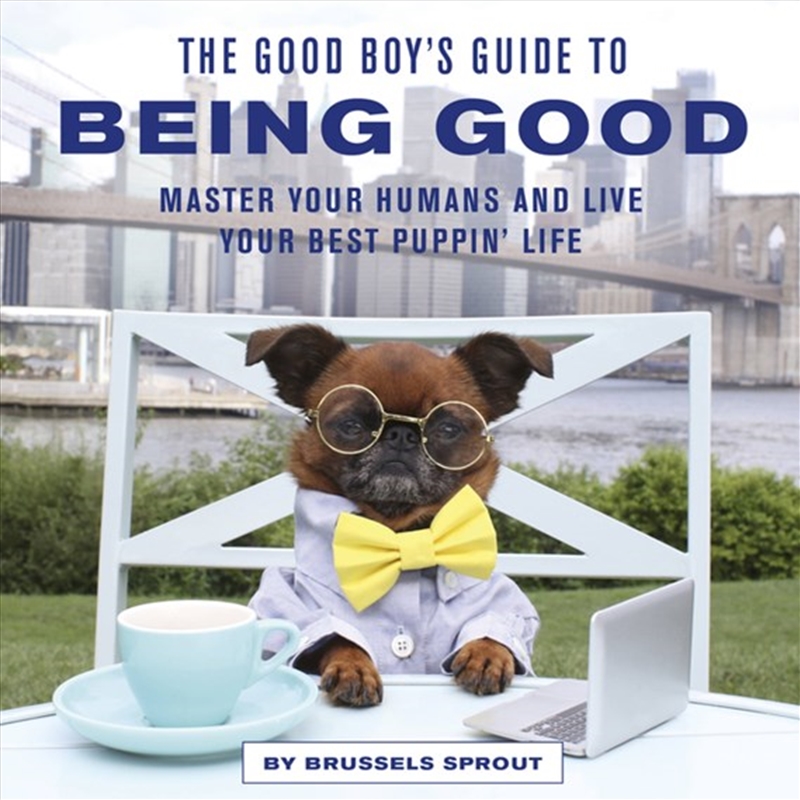 The Good Boy's Guide to Being Good/Product Detail/Comedy & Humour