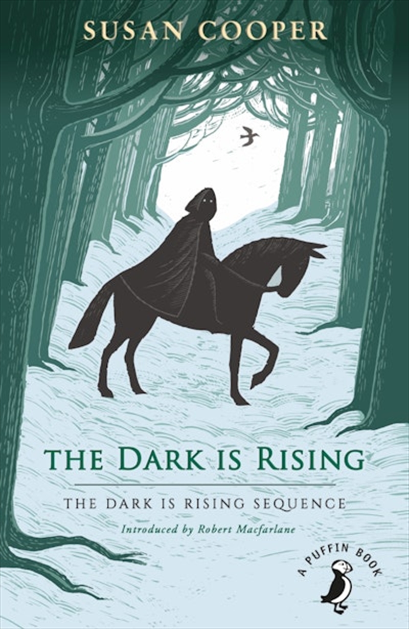 Dark is Rising/Product Detail/Childrens Fiction Books