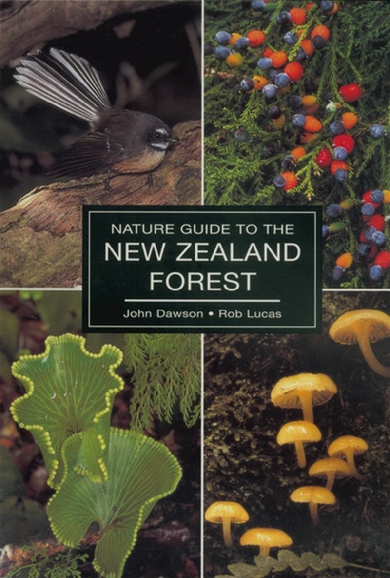 Nature Guide To The New Zealand Forest/Product Detail/Animals & Nature