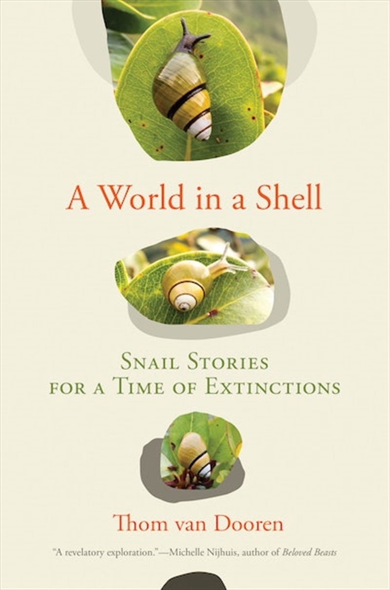 World in a Shell/Product Detail/Animals & Nature