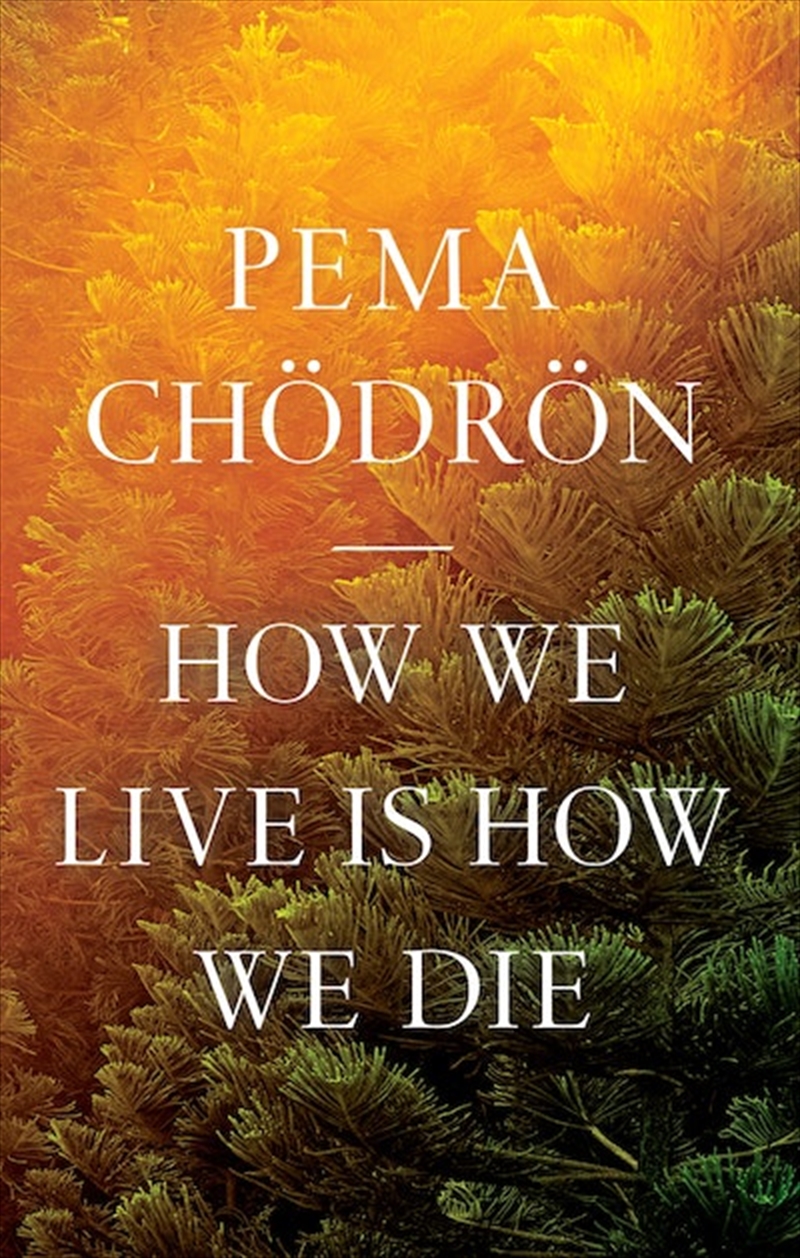 How We Live Is How We Die/Product Detail/Religion & Beliefs