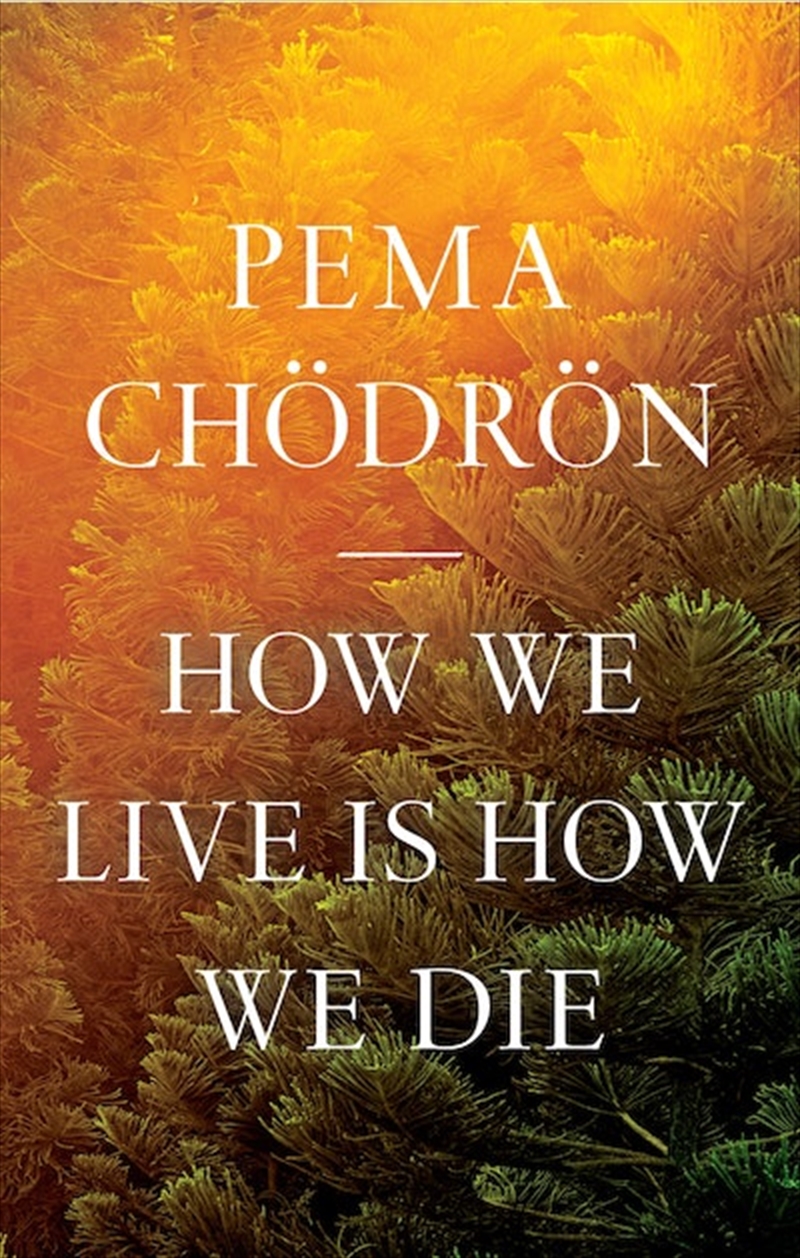 How We Live Is How We Die/Product Detail/Religion & Beliefs