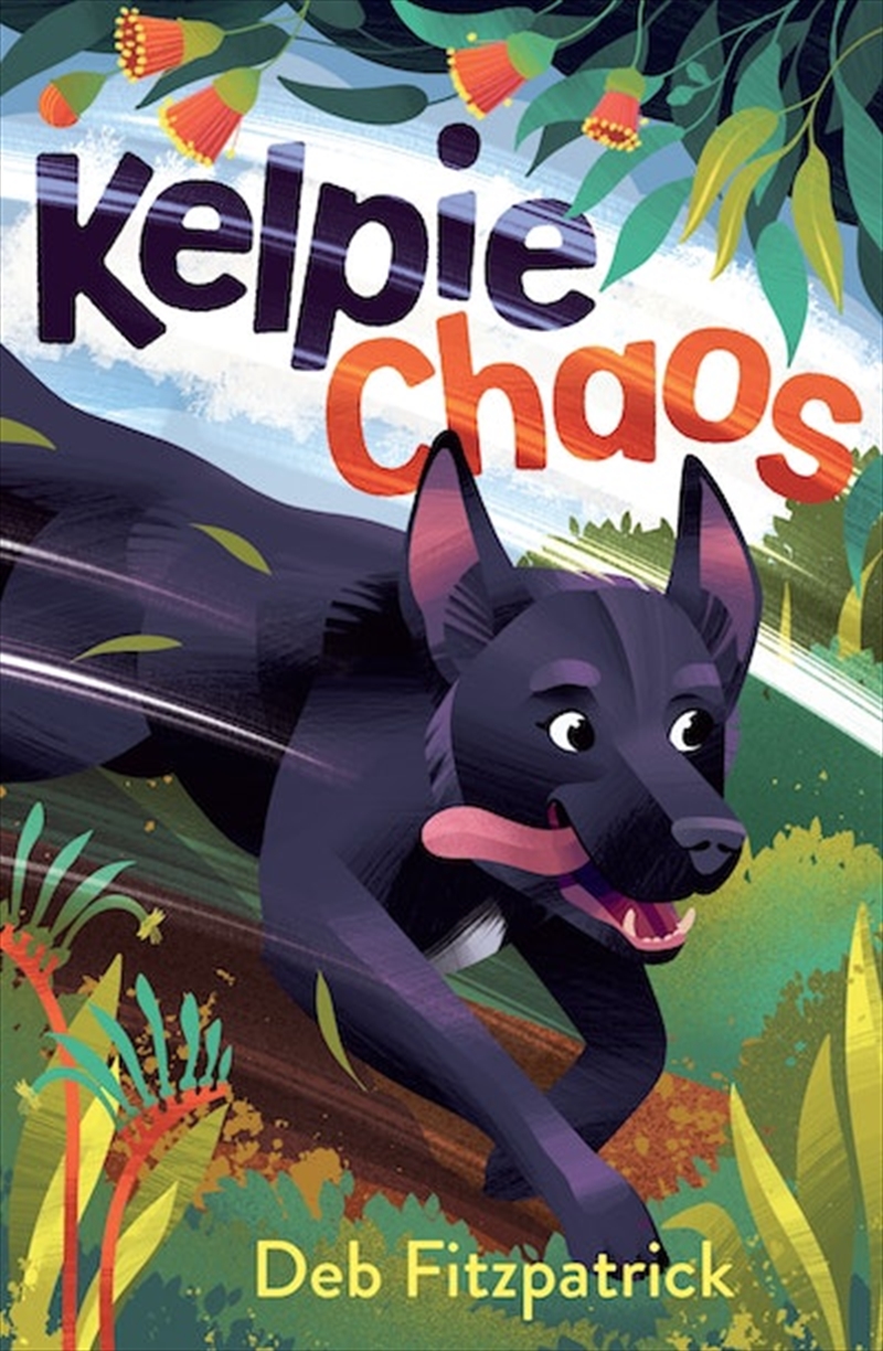 Kelpie Chaos/Product Detail/Animals & Nature