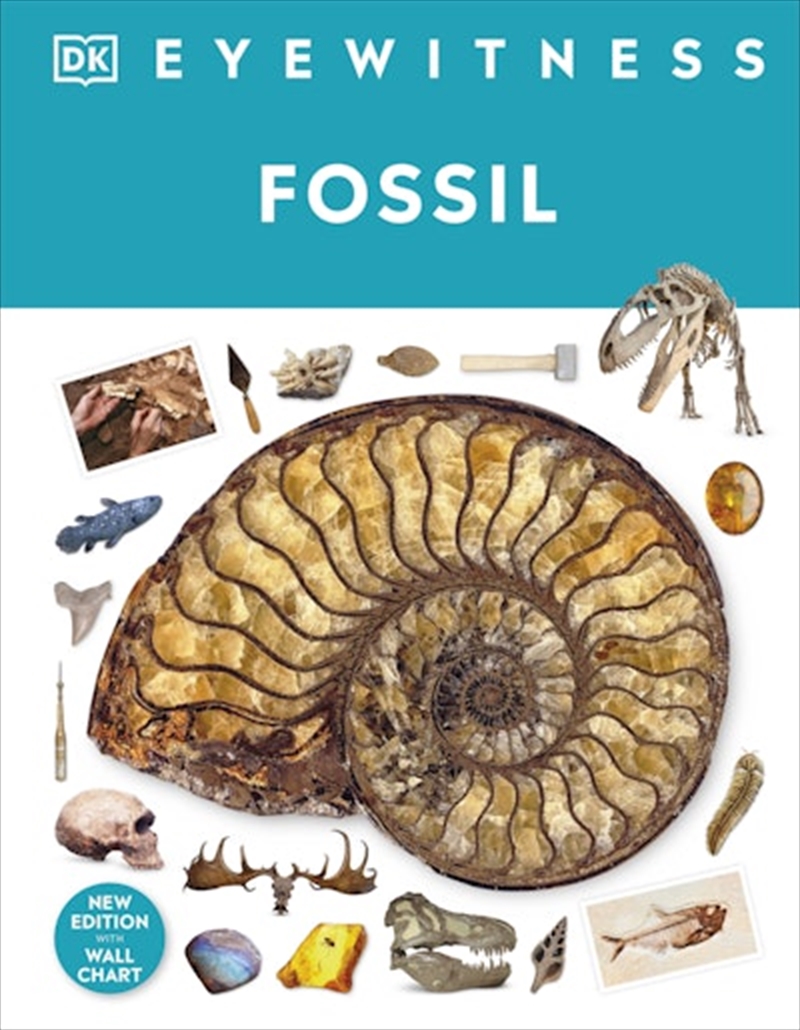 Fossil/Product Detail/Childrens