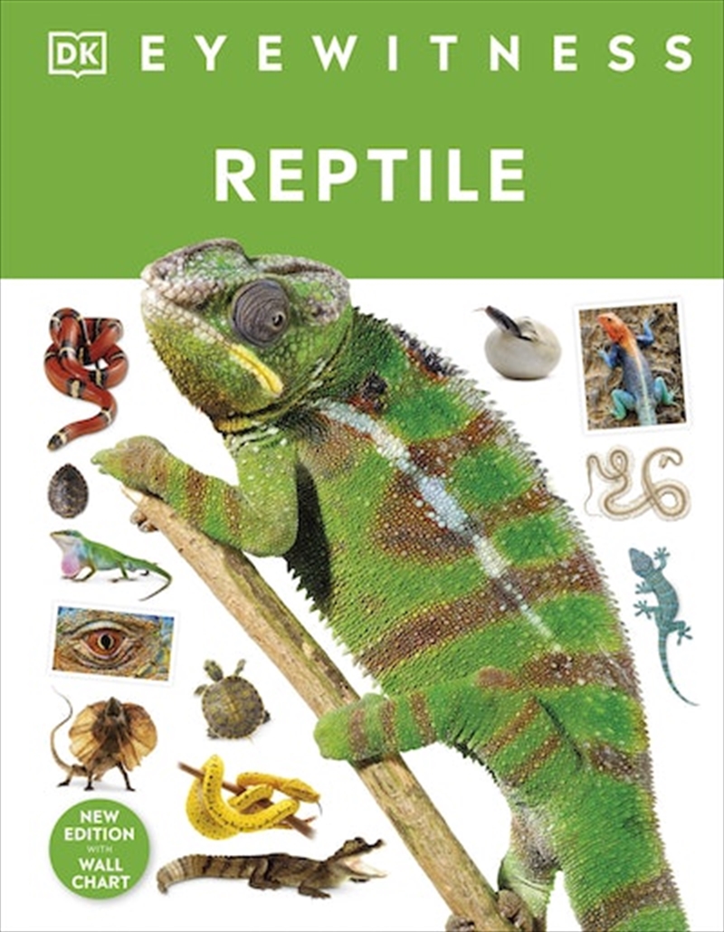 Reptile/Product Detail/Childrens