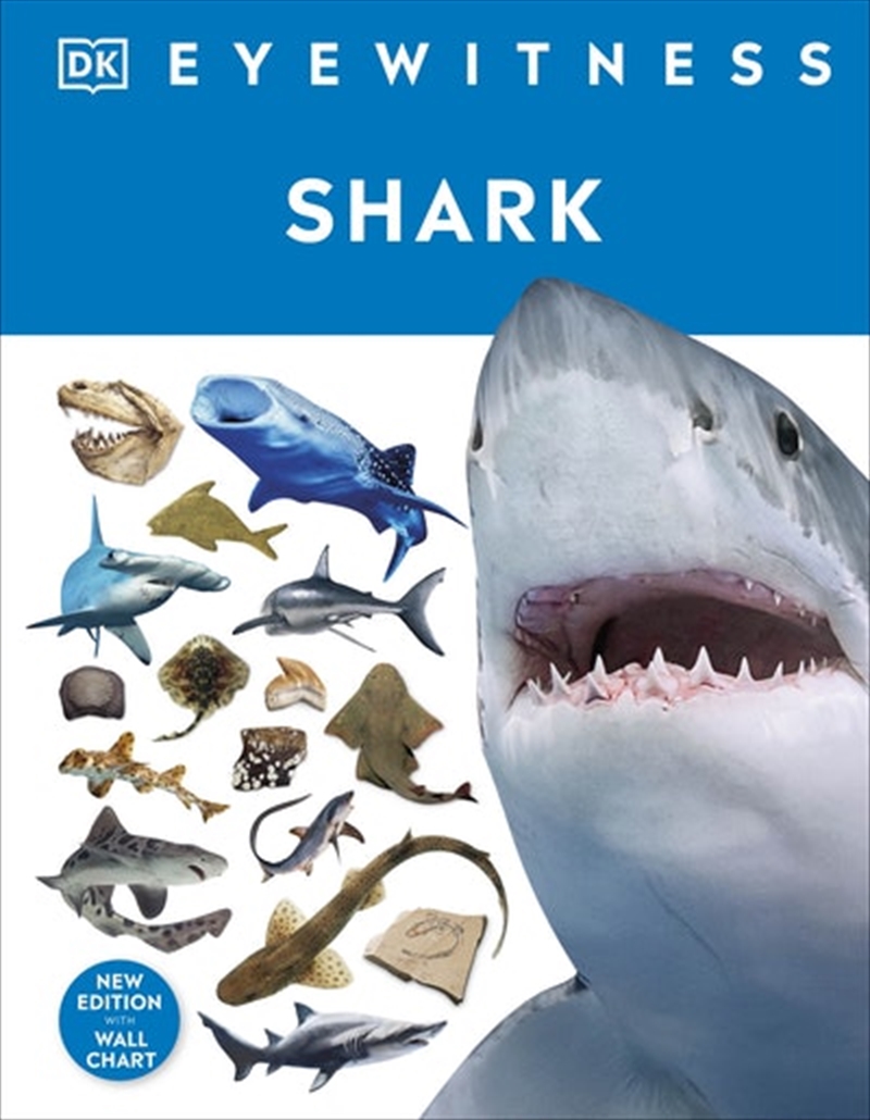 Shark/Product Detail/Childrens