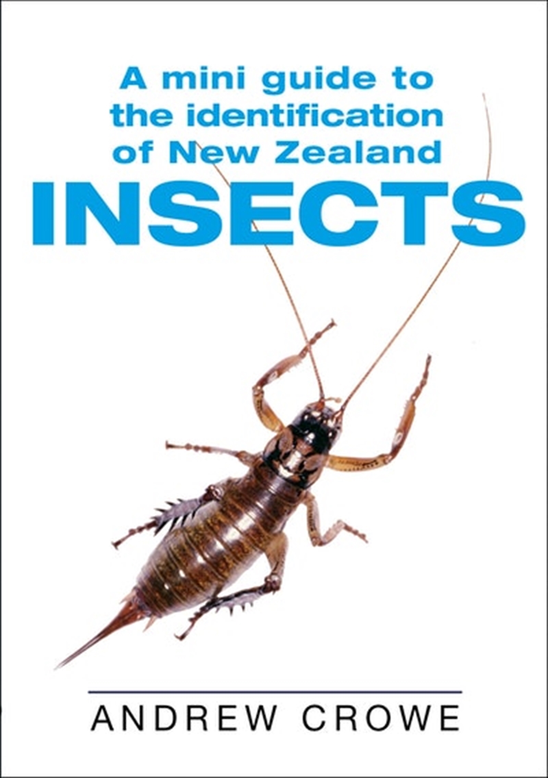 Mini Guide to the Identification of New Zealand Insects/Product Detail/Animals & Nature