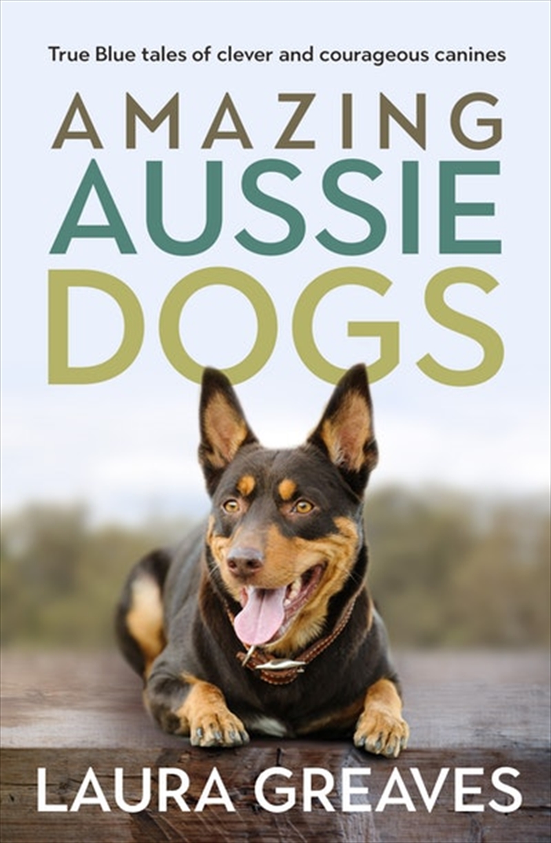 Amazing Aussie Dogs/Product Detail/Animals & Nature