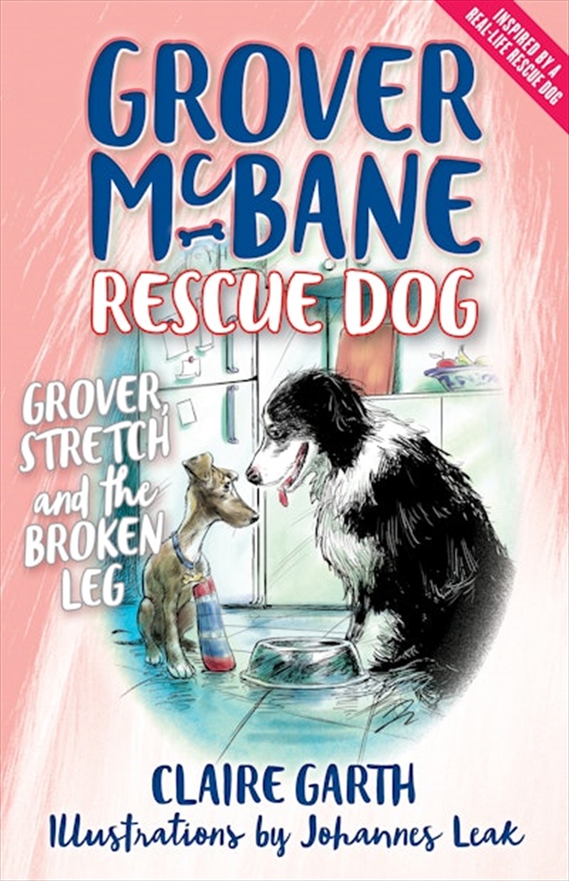 Grover McBane Rescue Dog: Grover Stretch and the Broken Leg (Book 4)/Product Detail/Childrens Fiction Books