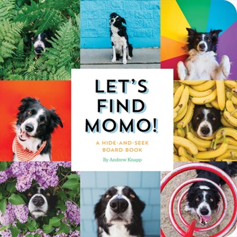 Let's Find Momo!/Product Detail/Early Childhood Fiction Books