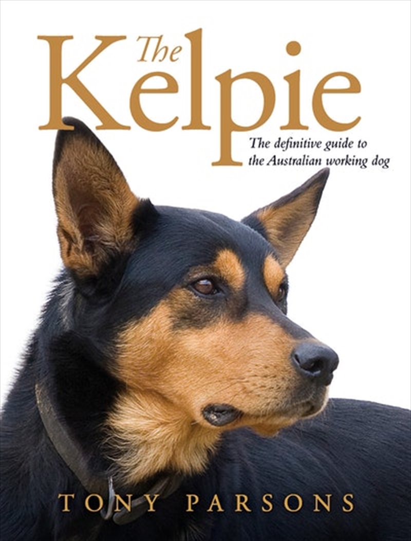 Kelpie/Product Detail/Animals & Nature