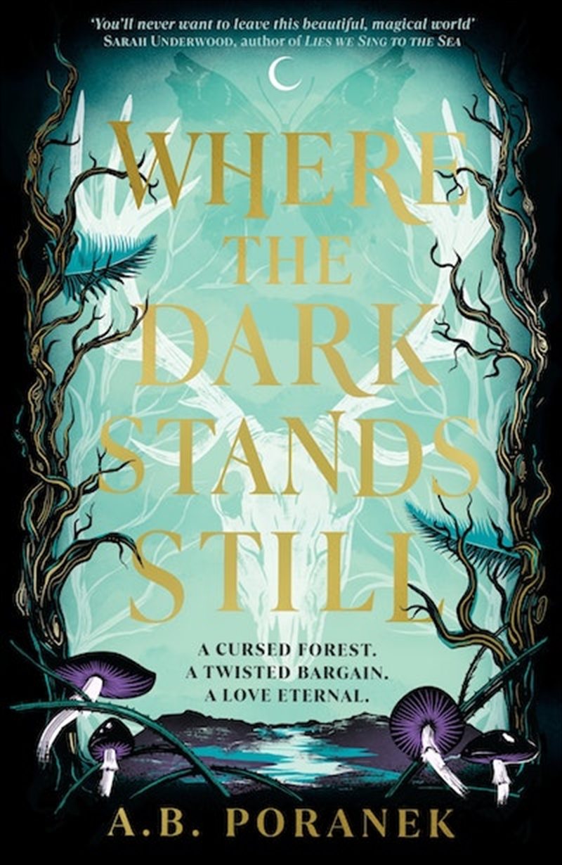 Where the Dark Stands Still/Product Detail/Childrens Fiction Books