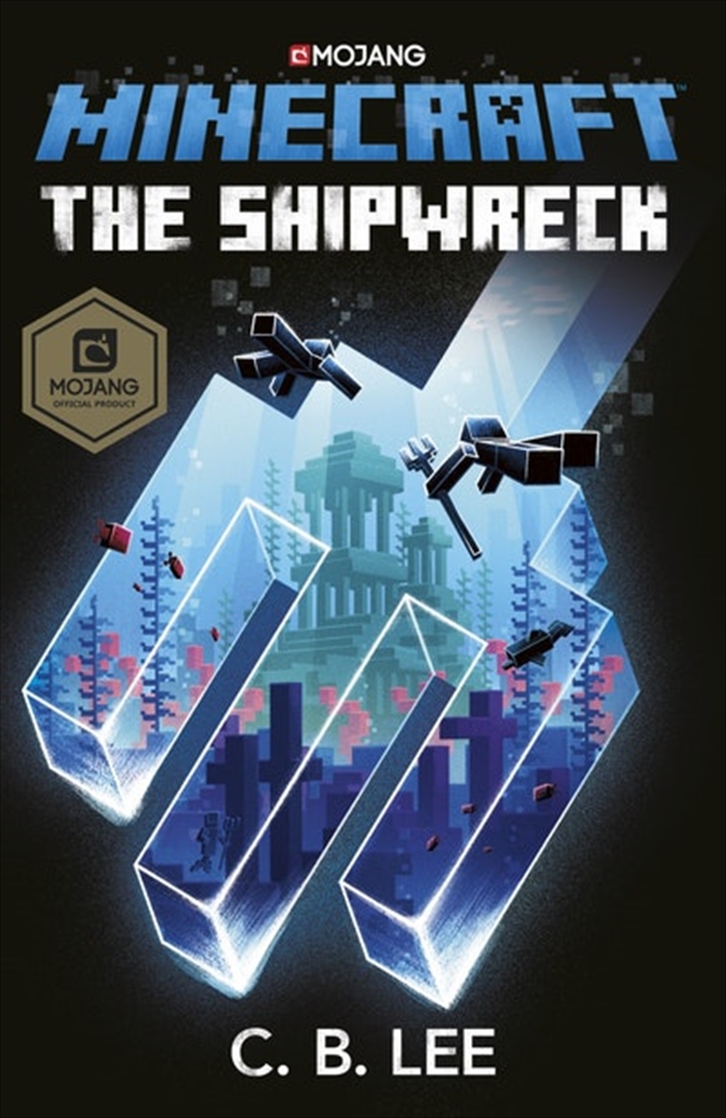 Minecraft: The Shipwreck/Product Detail/Childrens Fiction Books