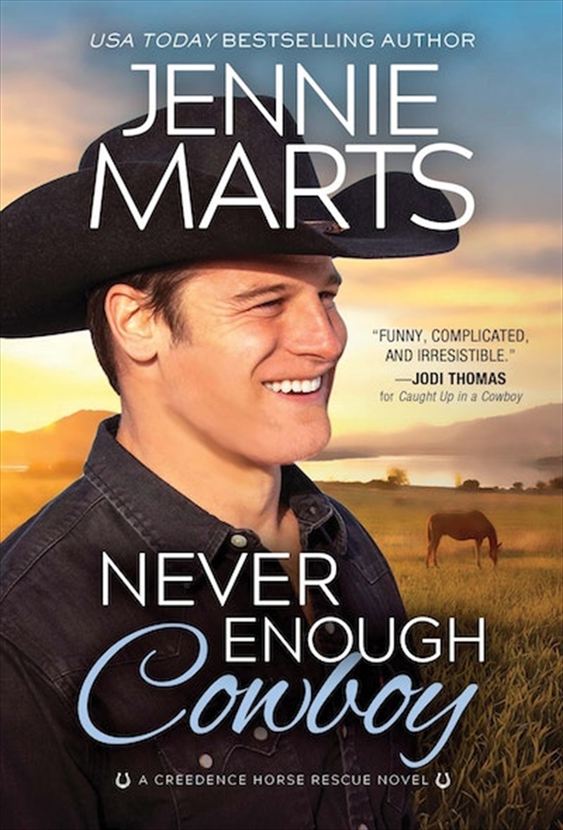 Never Enough Cowboy/Product Detail/Romance