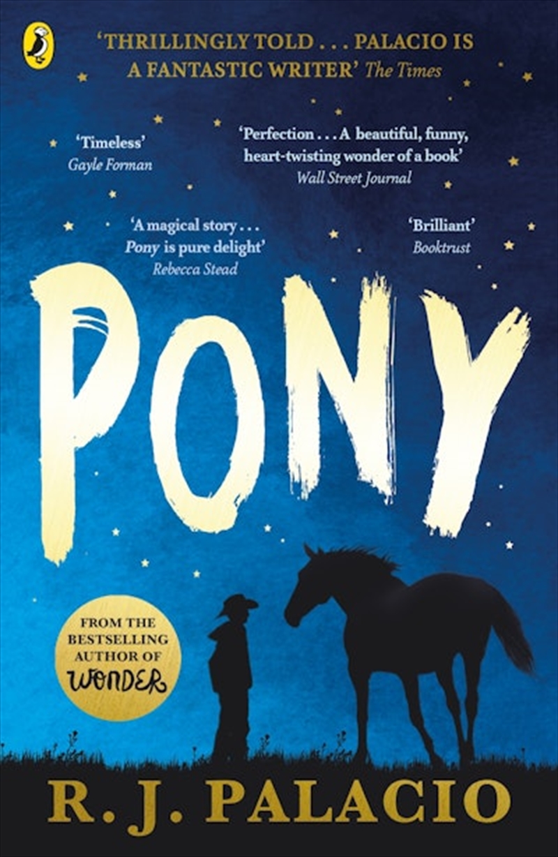 Pony/Product Detail/Childrens Fiction Books