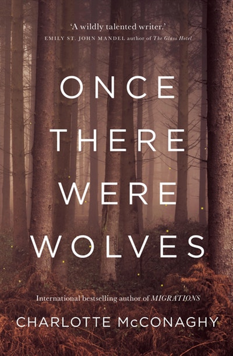 Once There Were Wolves/Product Detail/Thrillers & Horror Books