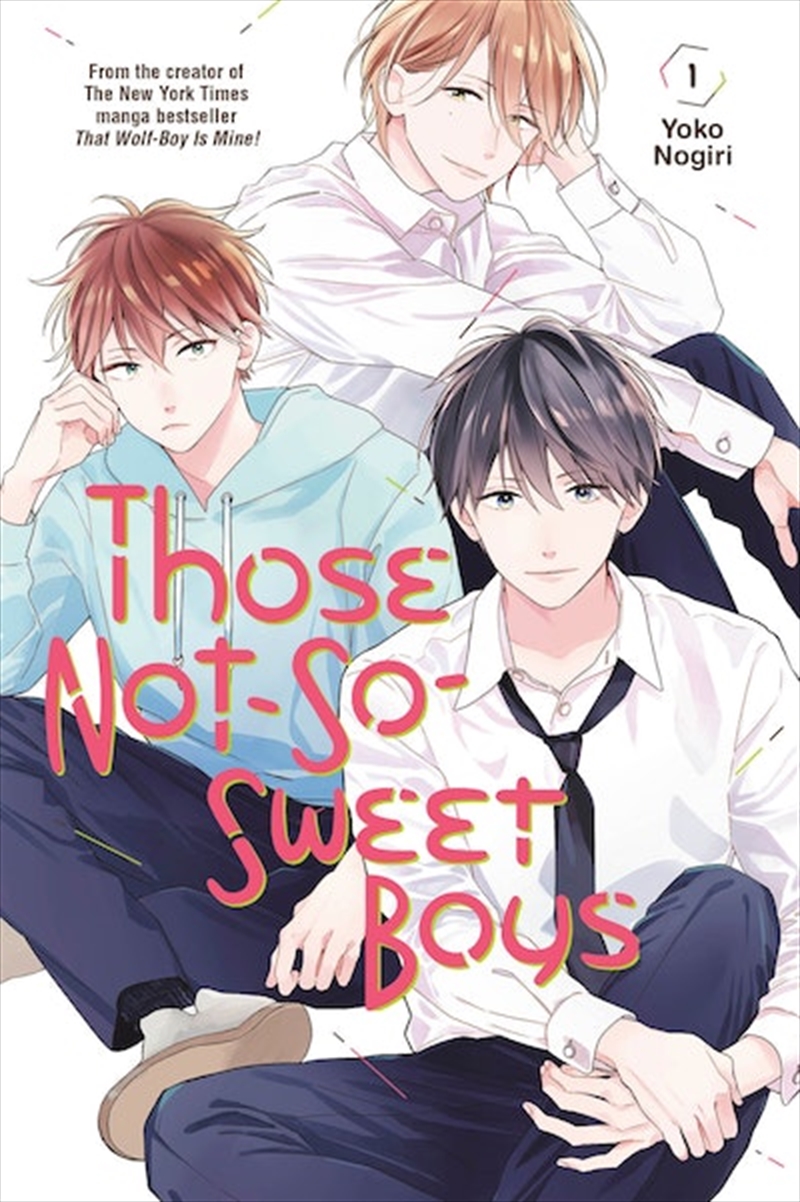 Those Not-So-Sweet Boys 1/Product Detail/Graphic Novels