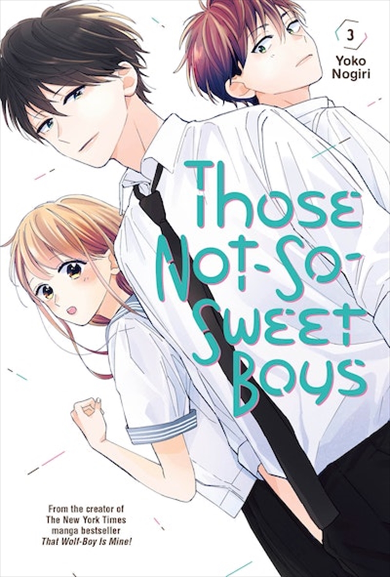 Those Not-So-Sweet Boys 3/Product Detail/Graphic Novels