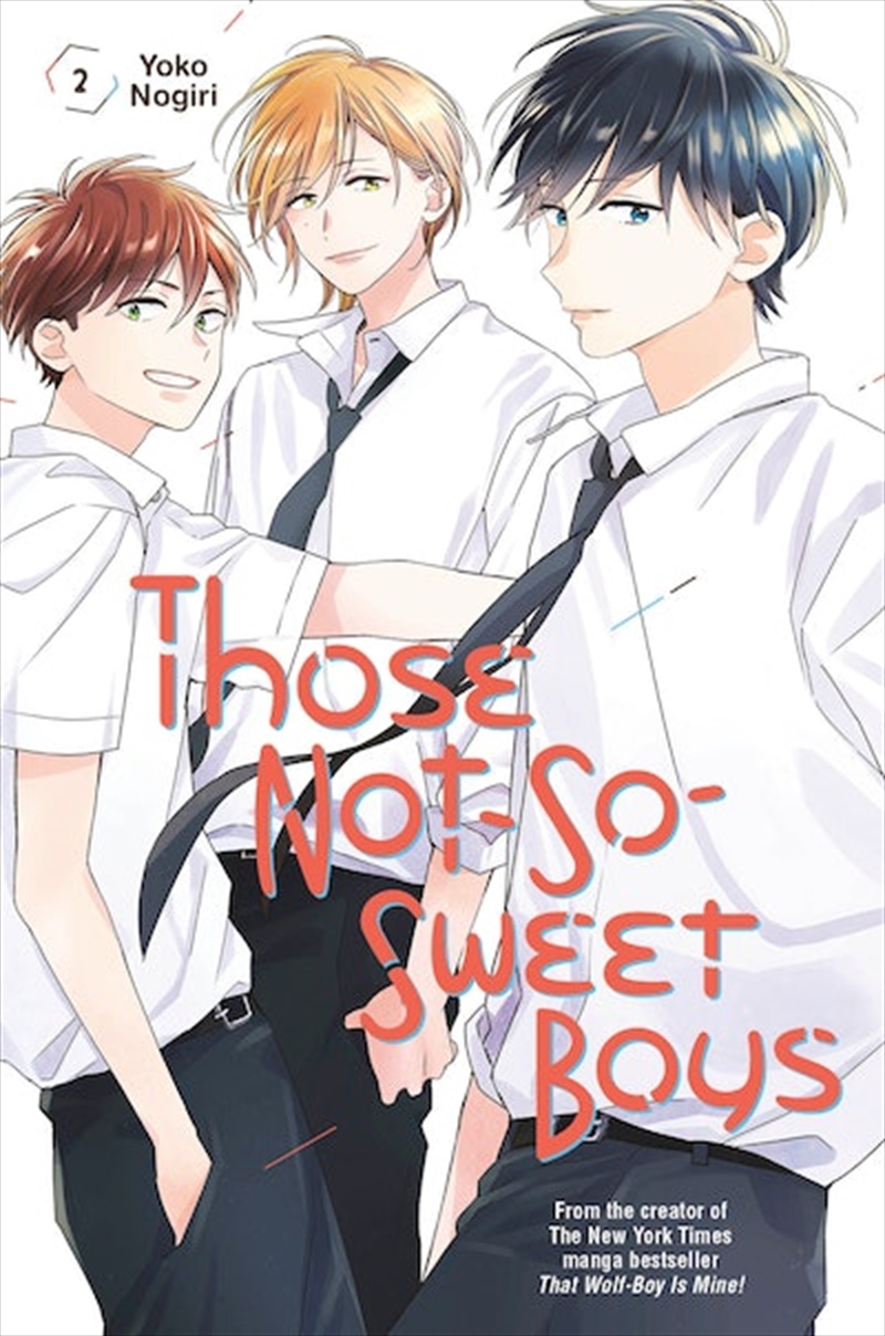 Those Not-So-Sweet Boys 2/Product Detail/Graphic Novels