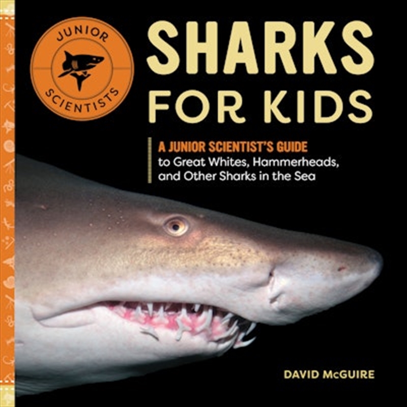 Sharks for Kids/Product Detail/Early Childhood Fiction Books