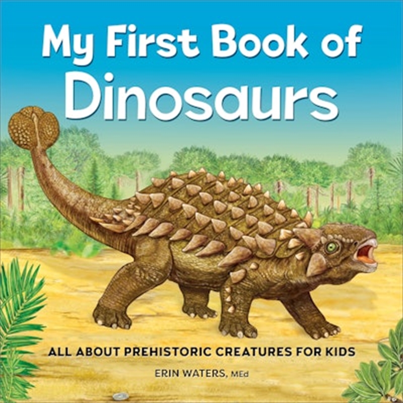 My First Book of Dinosaurs/Product Detail/Early Childhood Fiction Books