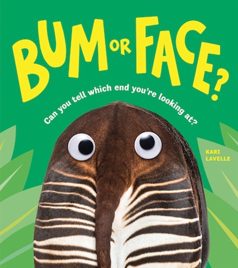 Bum or Face/Product Detail/Early Childhood Fiction Books