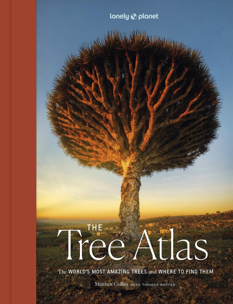 Lonely Planet The Tree Atlas/Product Detail/Travel & Holidays