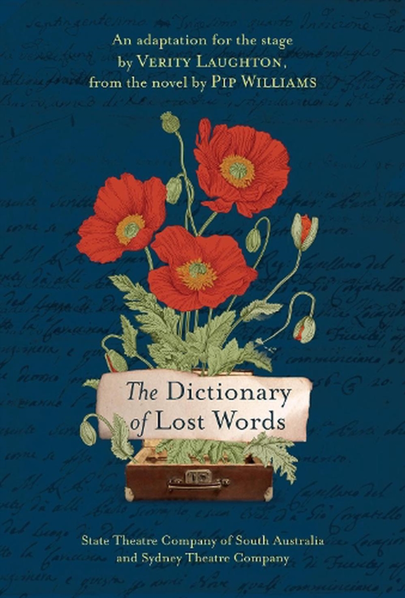 The Dictionary Of Lost Words,/Product Detail/Historical Fiction