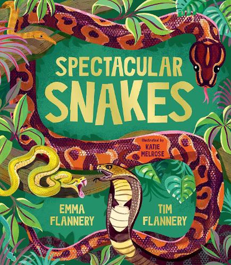 Spectacular Snakes/Product Detail/Animals & Nature