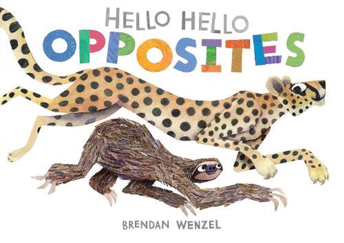 Hello Hello Opposites/Product Detail/Early Childhood Fiction Books