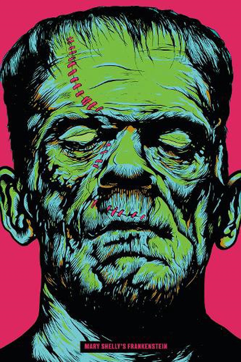 Frankenstein/Product Detail/Childrens Fiction Books