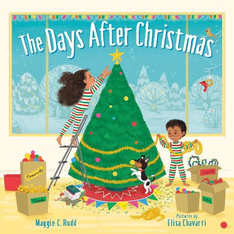 The Days After Christmas/Product Detail/Early Childhood Fiction Books