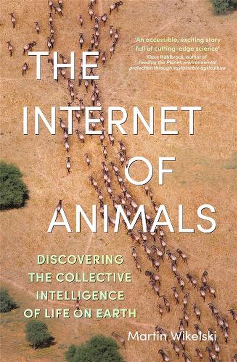 Internet of Animals/Product Detail/Animals & Nature