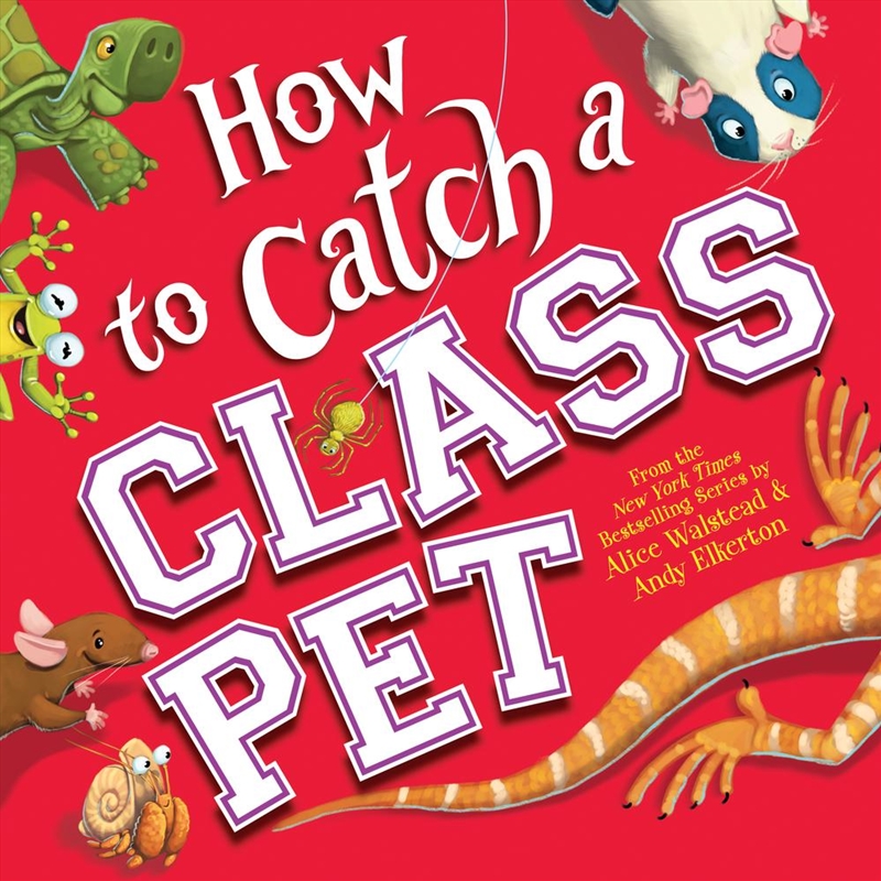 How to Catch a Class Pet/Product Detail/Early Childhood Fiction Books