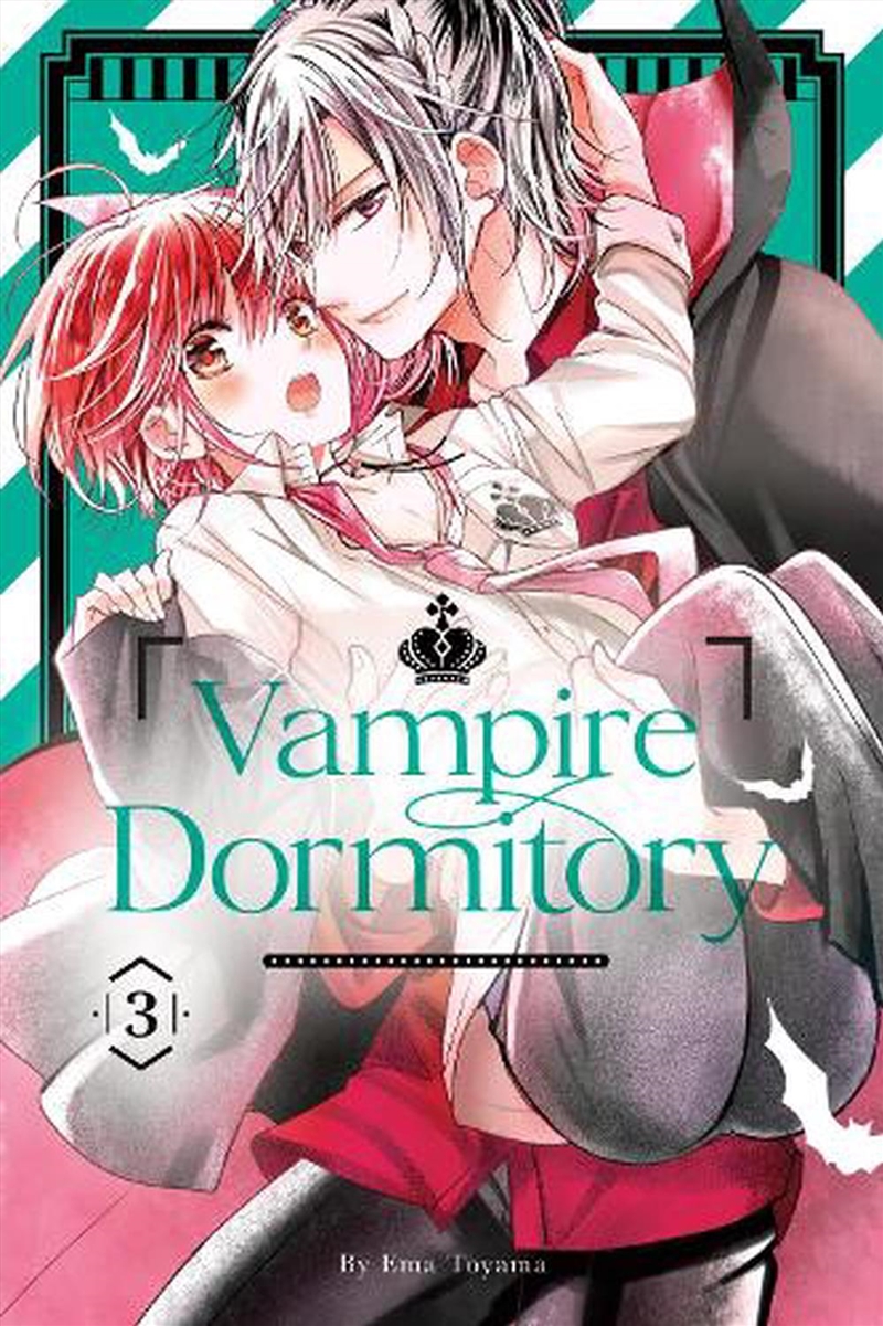 Vampire Dormitory 3/Product Detail/Graphic Novels