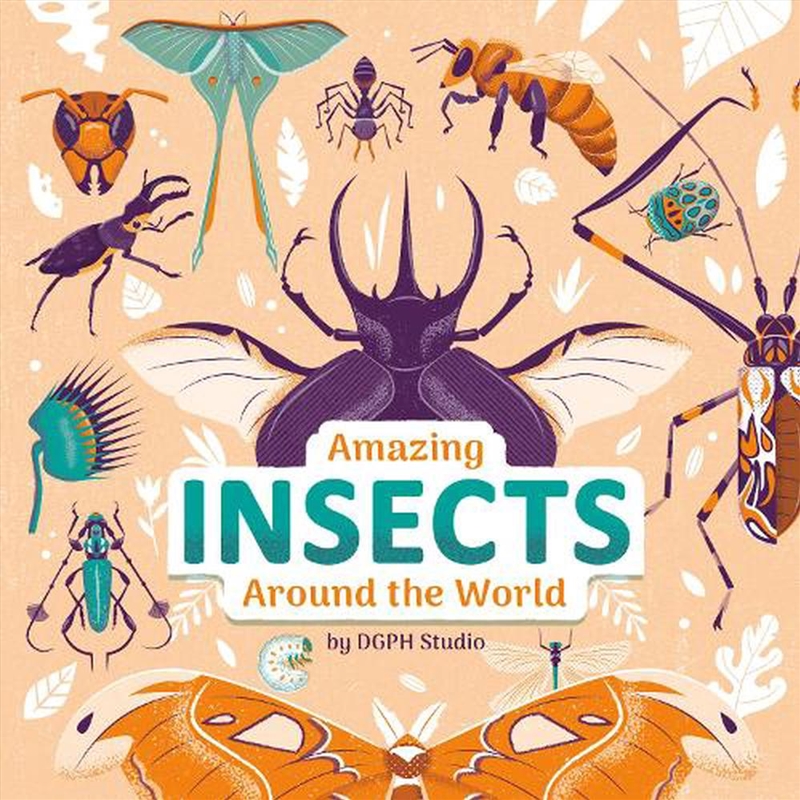 Amazing Insects Around the World/Product Detail/Early Childhood Fiction Books