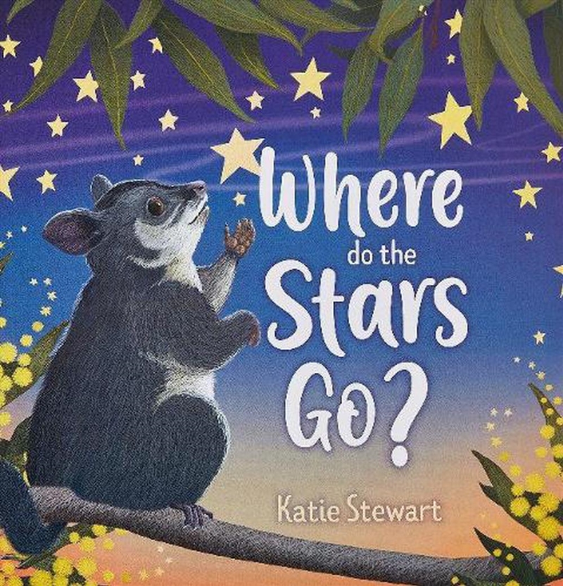 Where do the stars go?/Product Detail/Early Childhood Fiction Books