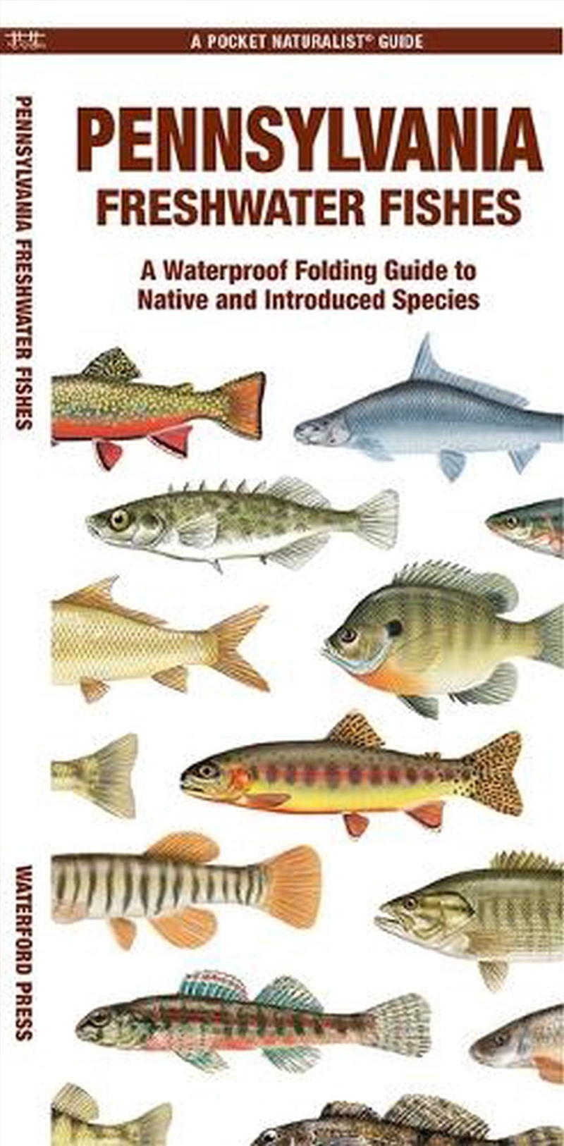 Pennsylvania Freshwater Fishes/Product Detail/Animals & Nature