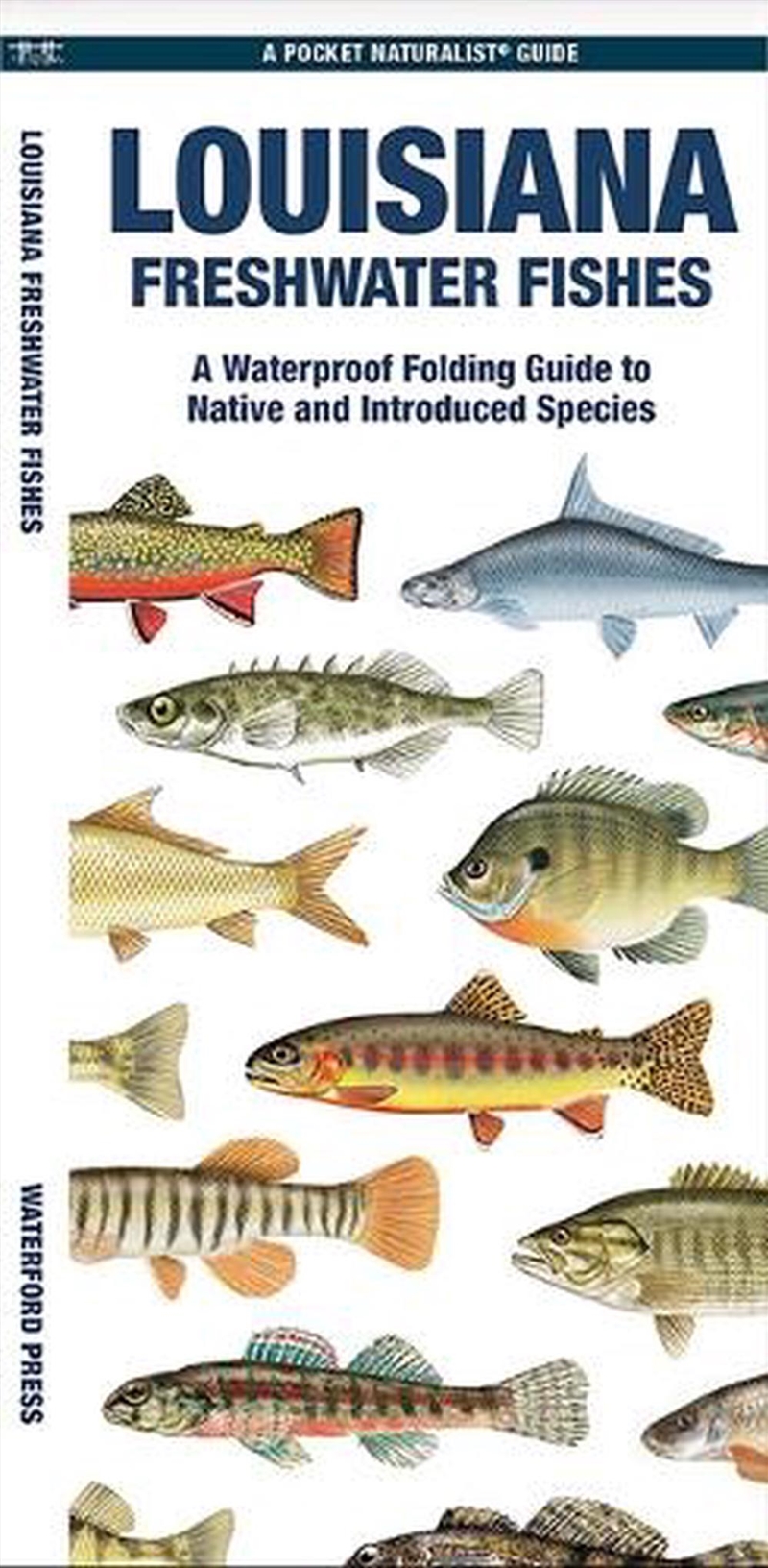 Louisiana Freshwater Fishes/Product Detail/Animals & Nature