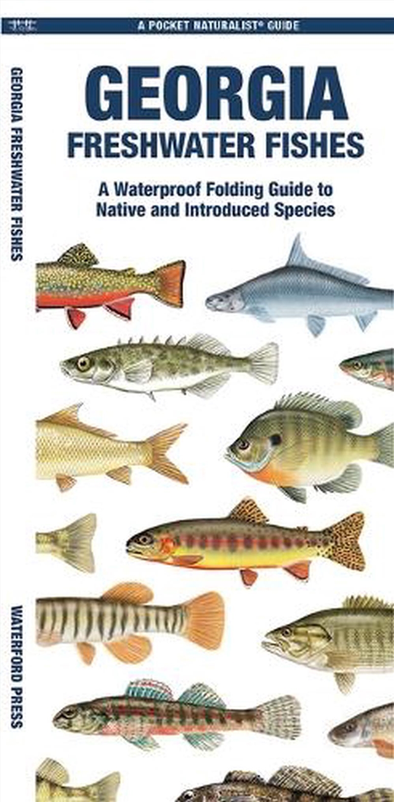 Georgia Freshwater Fishes/Product Detail/Animals & Nature