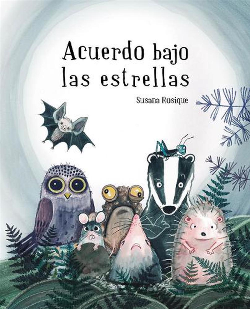 Acuerdo Bajo Las Estrellas/Product Detail/Early Childhood Fiction Books